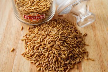 1317_oves_proparennyy.jpg