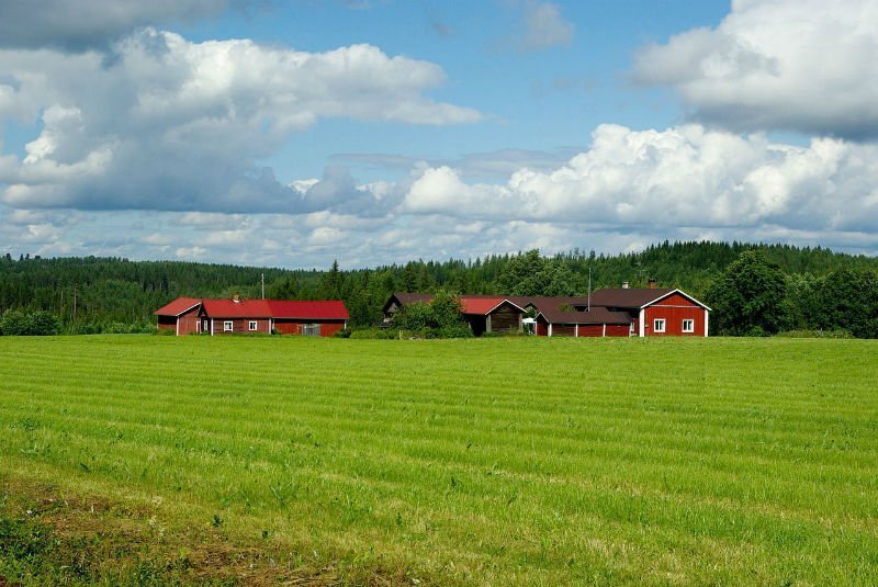 finland-905701_1280_0.jpg