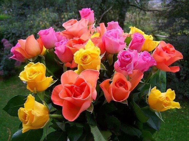 rose-bouquet-945329_640.jpg